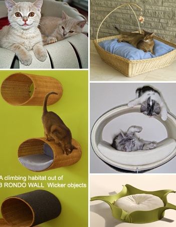 Day Beds and Furniture for cats all set for design conscious owners ...